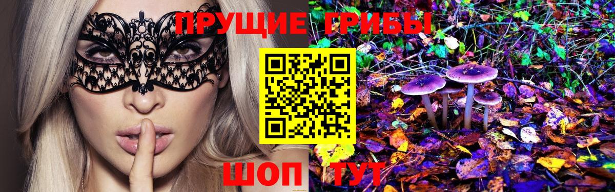 Псилоцибиновые грибы Psilocybine cubensis  Вход с VPN  Тольятти 