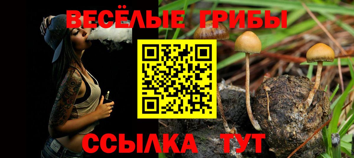 Галлюциногенные грибы GOLDEN TEACHER Тольятти